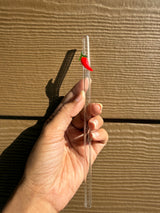 Chilly Glass Straw with Cleaner